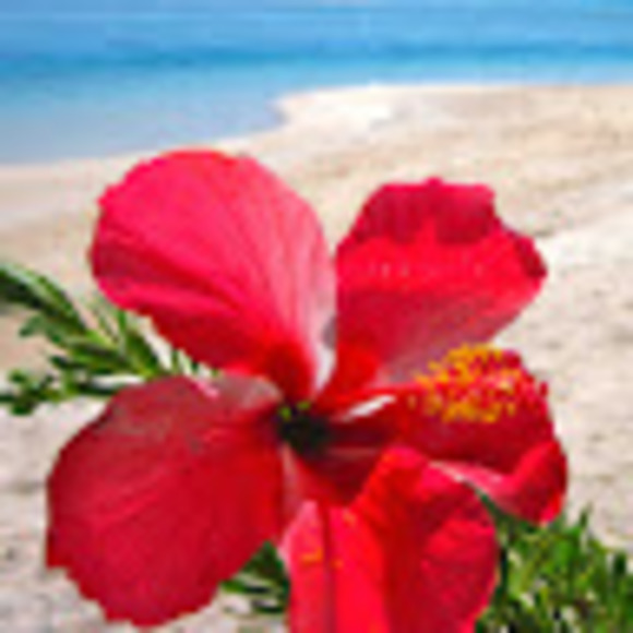 Meet your Posher, Brieahna - Picture 1 of 1